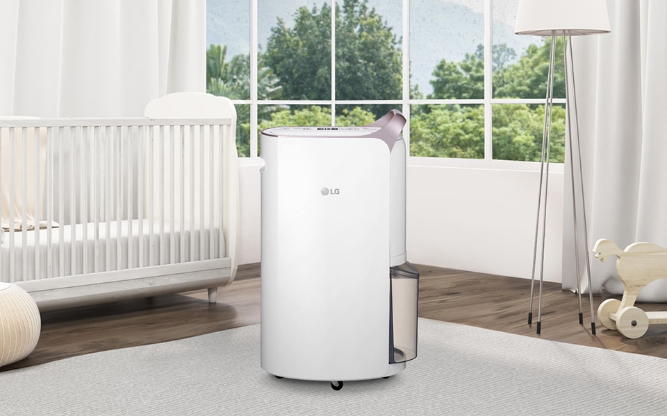 /ae/lg-story/helpful-guide/best-dehumidifier-for-healthy-home/Best dehumidifier